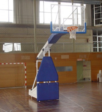 Professional basketball goal
